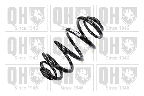 Suspension Spring (QCS8993)