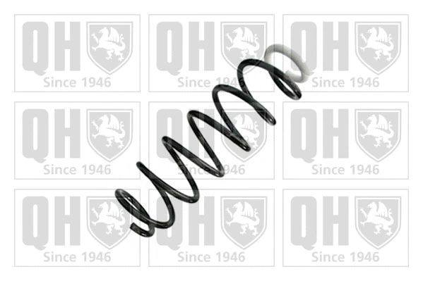 Suspension Spring (QCS8728)
