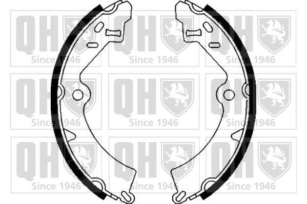 Brake Shoe Set (BS847)