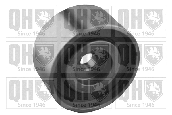 Deflection/Guide Pulley, timing belt (QTT1036)