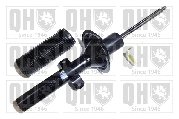 Shock Absorber (QAG181312)