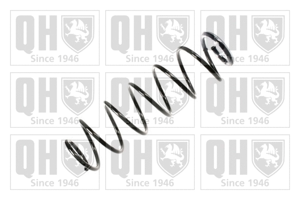 Suspension Spring (QCS7898)