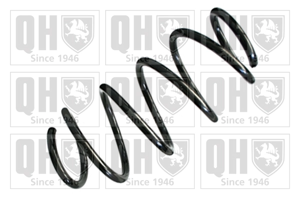 Suspension Spring (QCS8301)