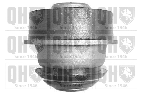 Mounting, control/trailing arm (EMS8070)