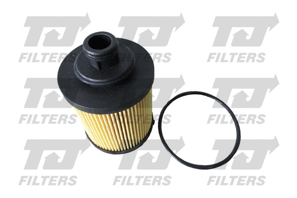 Oil Filter (QFL0152)