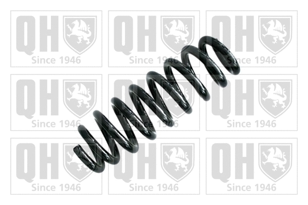 Suspension Spring (QCS8041)