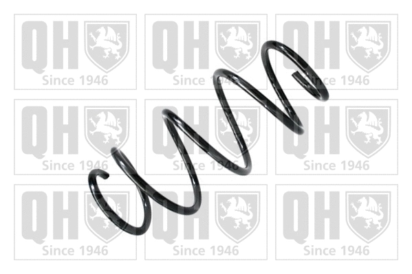 Suspension Spring (QCS5171)