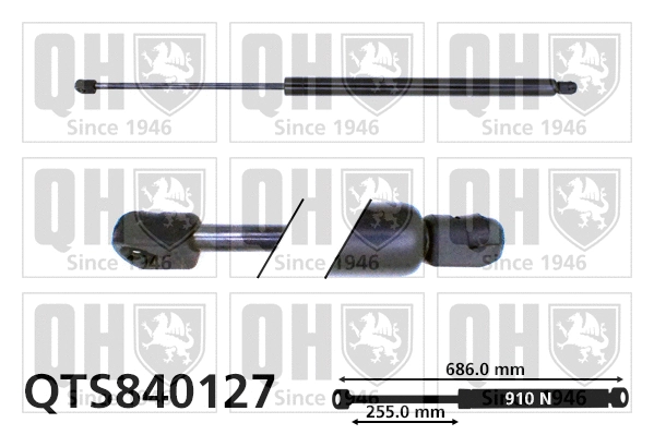 Gas Spring, boot/cargo area (QTS840127)