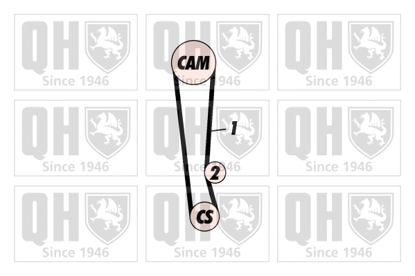 Timing Belt Kit (QBK484)