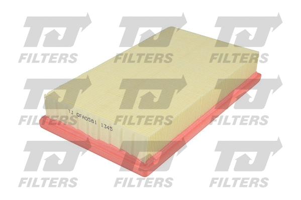 Air Filter (QFA0581)