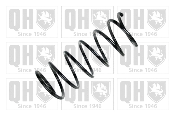 Suspension Spring (QCS6704)