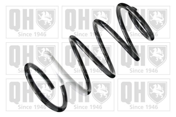 Suspension Spring (QCS8270)