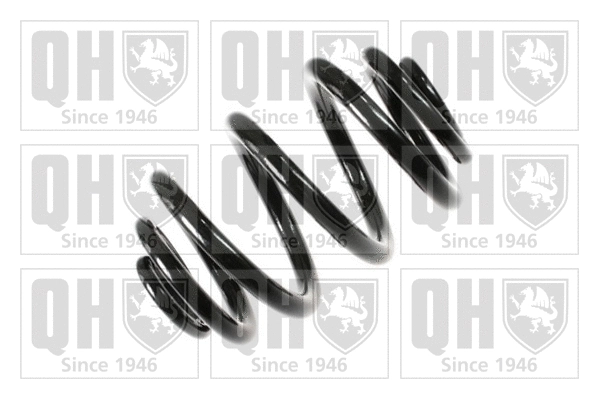 Suspension Spring (QCS8021)