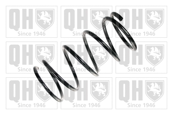 Suspension Spring (QCS6525)