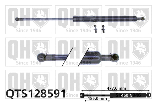 Gas Spring, boot/cargo area (QTS128591)