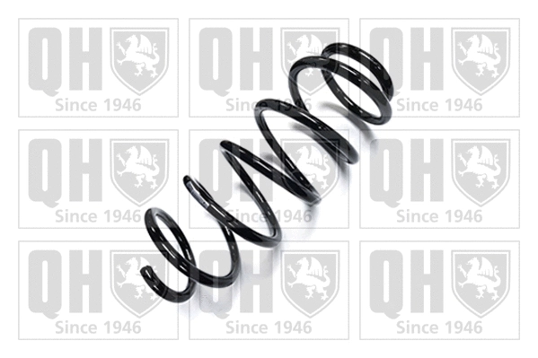 Suspension Spring (QCS5057)