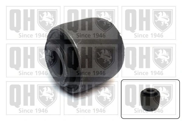 Mounting, control/trailing arm (EMS8581)
