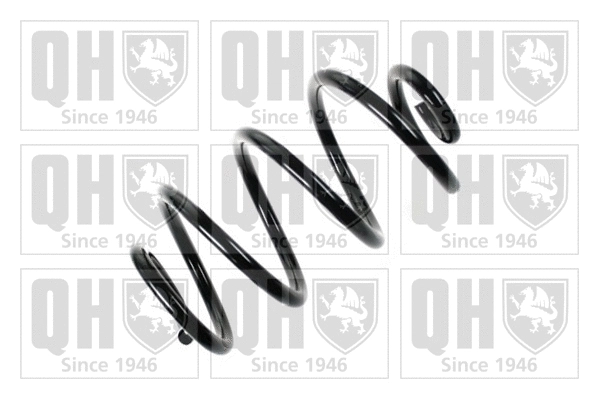 Suspension Spring (QCS7756)
