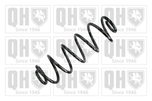 Suspension Spring (QCS5505)