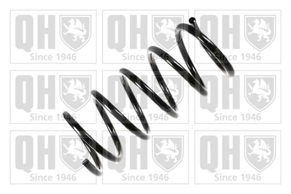 Suspension Spring (QCS5768)