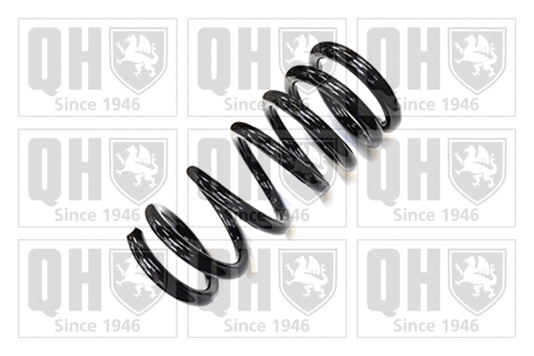 Suspension Spring (QCS7701)