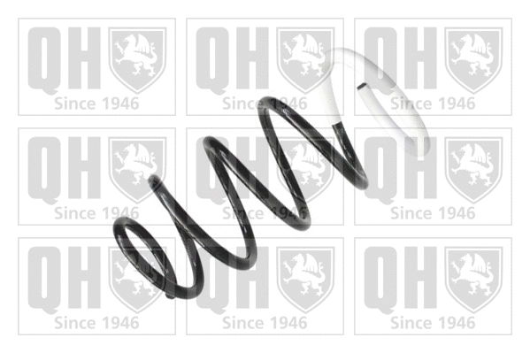 Suspension Spring (QCS7501)