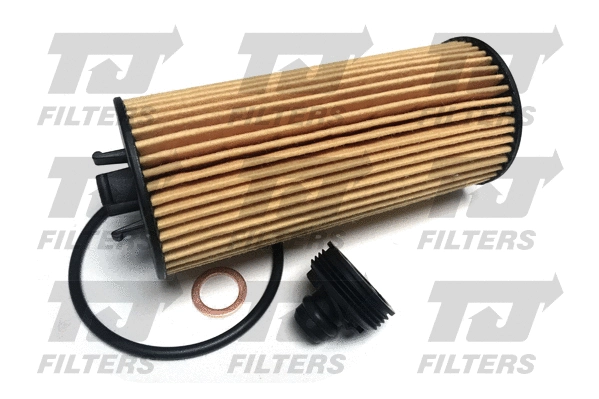 Oil Filter (QFL0348)