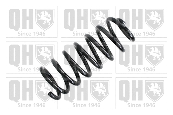 Suspension Spring (QCS5494)