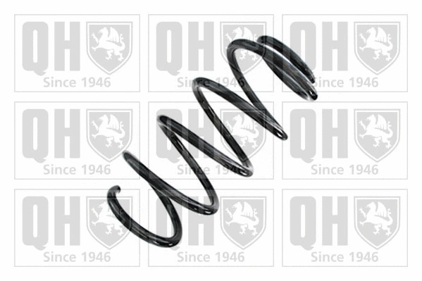 Suspension Spring (QCS9091)