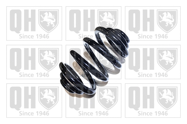 Suspension Spring (QCS5606)