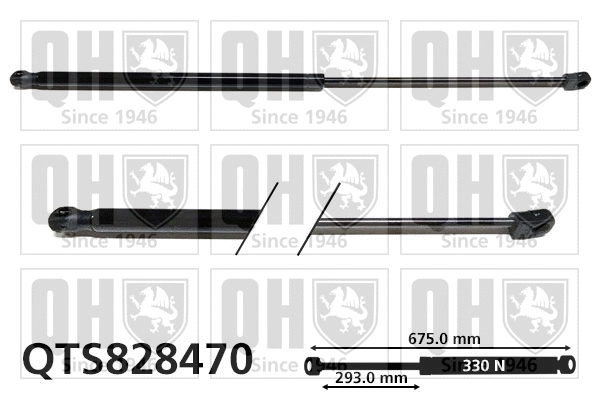 Gas Spring, bonnet (QTS828470)