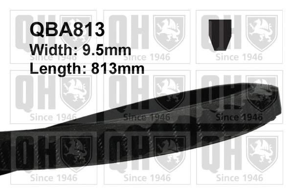 V-Belt (QBA813)