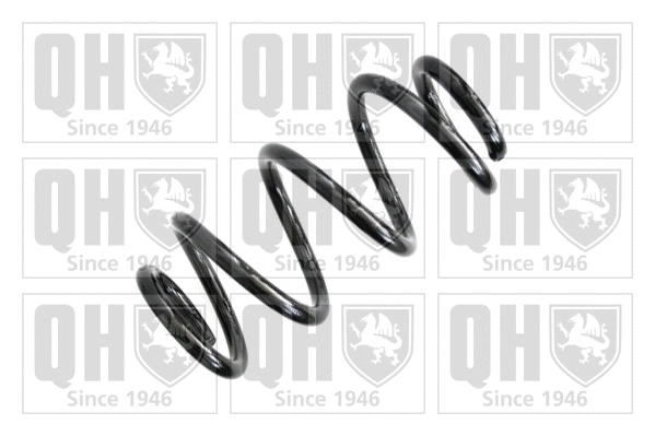 Suspension Spring (QCS6789)
