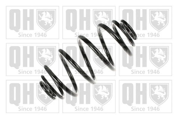 Suspension Spring (QCS5869)