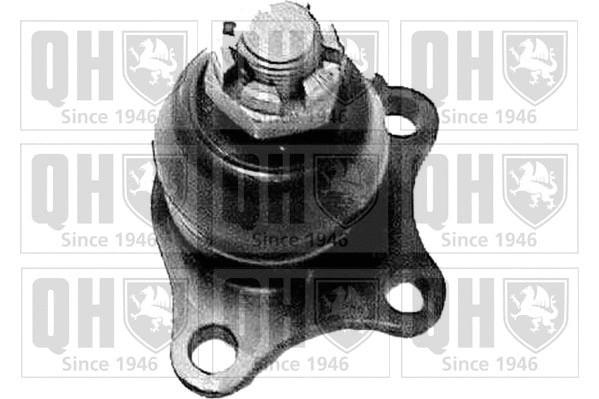 Ball Joint (QSJ909S)