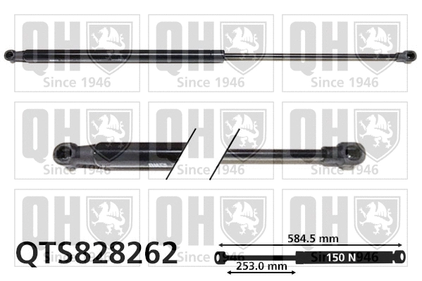 Gas Spring, rear window (QTS828262)
