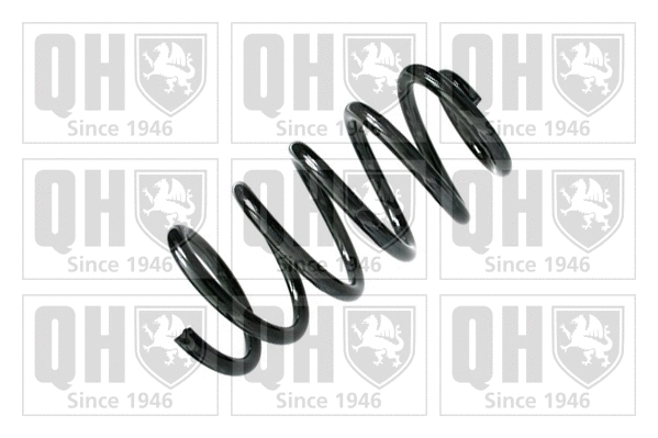Suspension Spring (QCS6130)