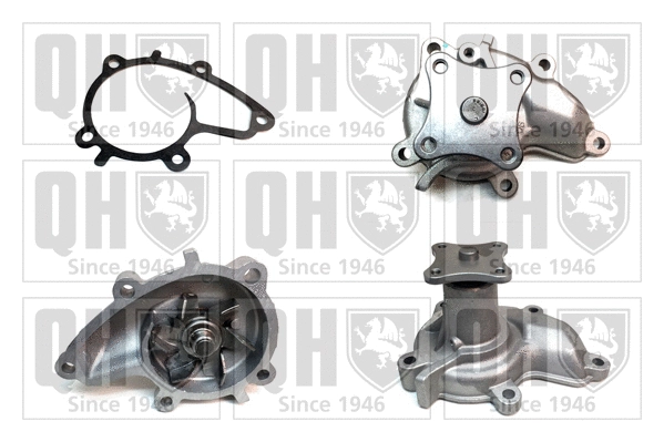 Water Pump, engine cooling (QCP2329)