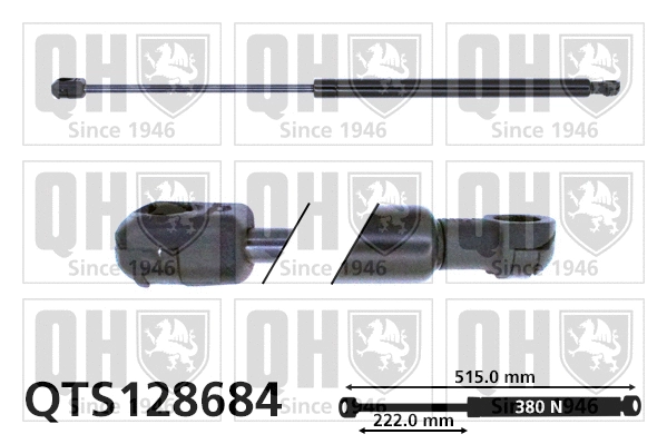 Gas Spring, boot/cargo area (QTS128684)