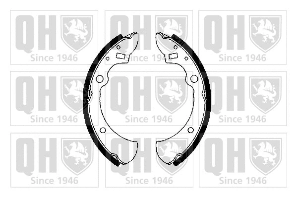 Brake Shoe Set (BS666)