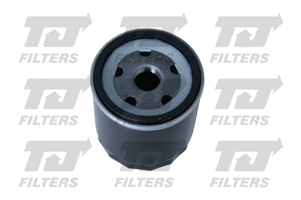 Oil Filter (QFL0190)