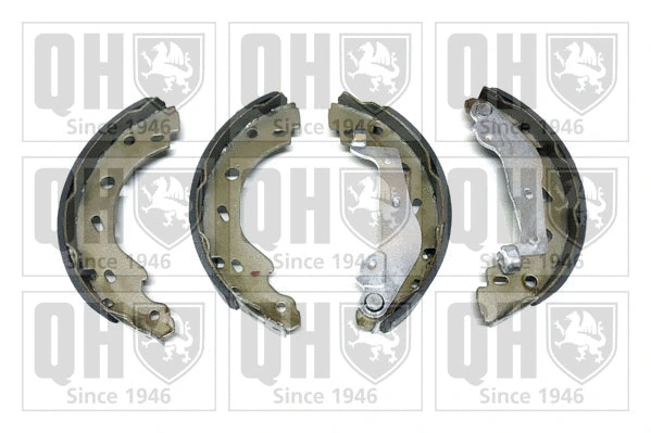 Brake Shoe Set (BS1121)