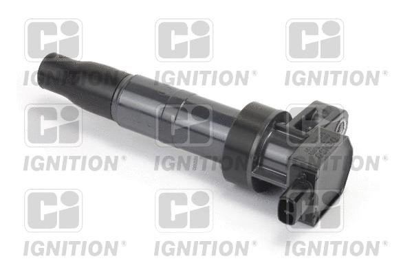Ignition Coil (XIC8410)