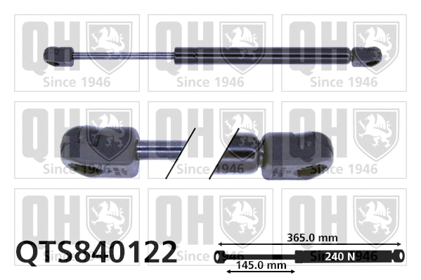 Gas Spring, boot/cargo area (QTS840122)