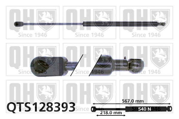 Gas Spring, boot/cargo area (QTS128393)