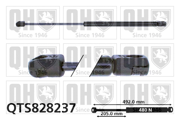Gas Spring, boot/cargo area (QTS828237)