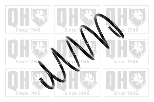 Suspension Spring (QCS5758)