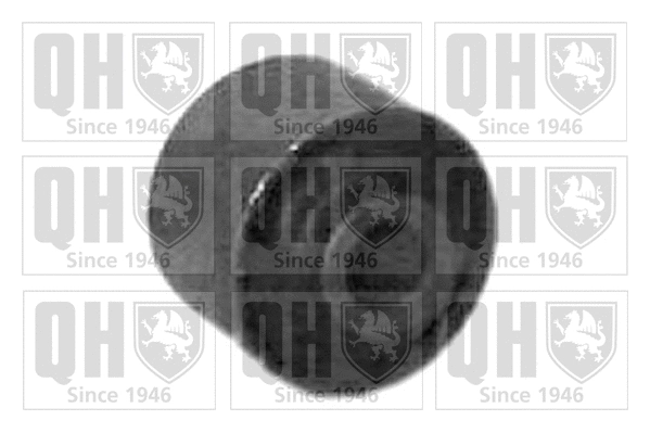 Mounting, control/trailing arm (EM2445)