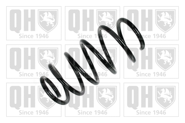 Suspension Spring (QCS5888)
