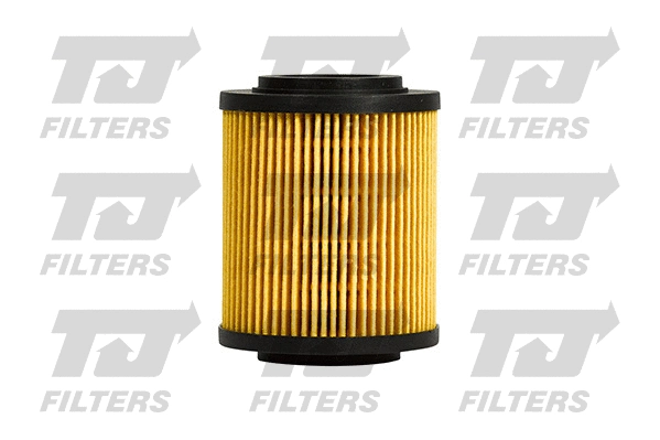 Oil Filter (QFL0268)